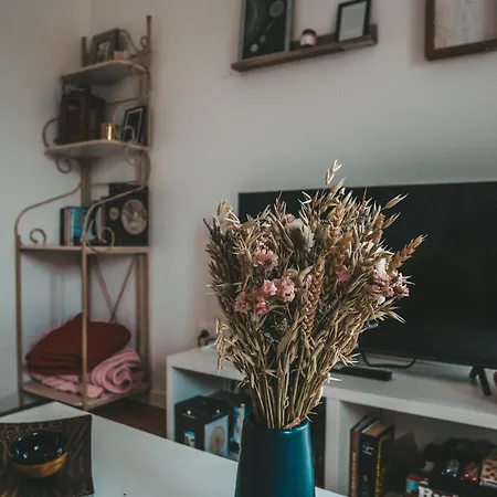 Apartmán La Bodeguita Terrasse
