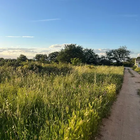 La Bodeguita Terrasse Lejlighed *