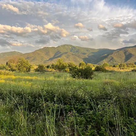 Lejlighed La Bodeguita Terrasse Saint-Génis