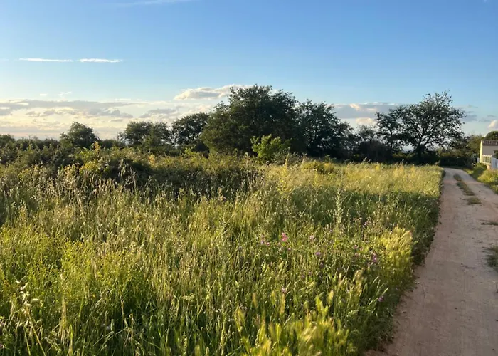 La Bodeguita Terrasse Lejlighed *
