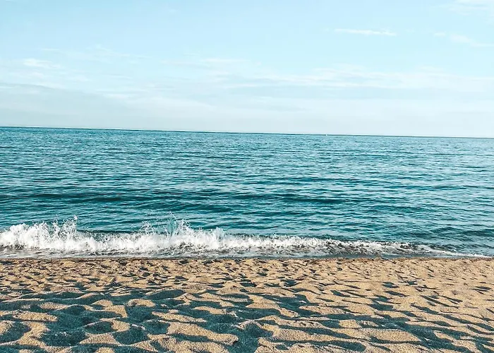 La Bodeguita Terrasse * Saint-Génis